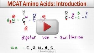 Amino Acids Tutorial Video MCAT Biochemistry Leah4sci