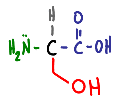 Amino Acid Practice Quiz a