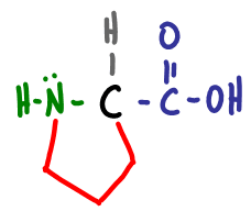 Amino Acid Practice Quiz b