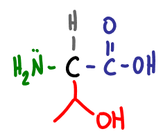 Amino Acid Practice Quiz c