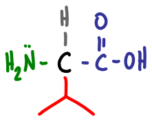 Amino Acid Practice Quiz d