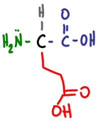 Amino Acid Practice Quiz e