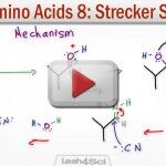 Strecker Synthesis of Alpha Amino Acids MCAT Tutorial Video