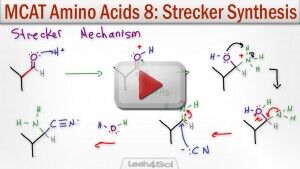 Strecker Synthesis of Alpha Amino Acids MCAT Tutorial Video