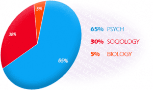 Psychological Social and Biological Foundations of Behavior breakdown on the MCAT