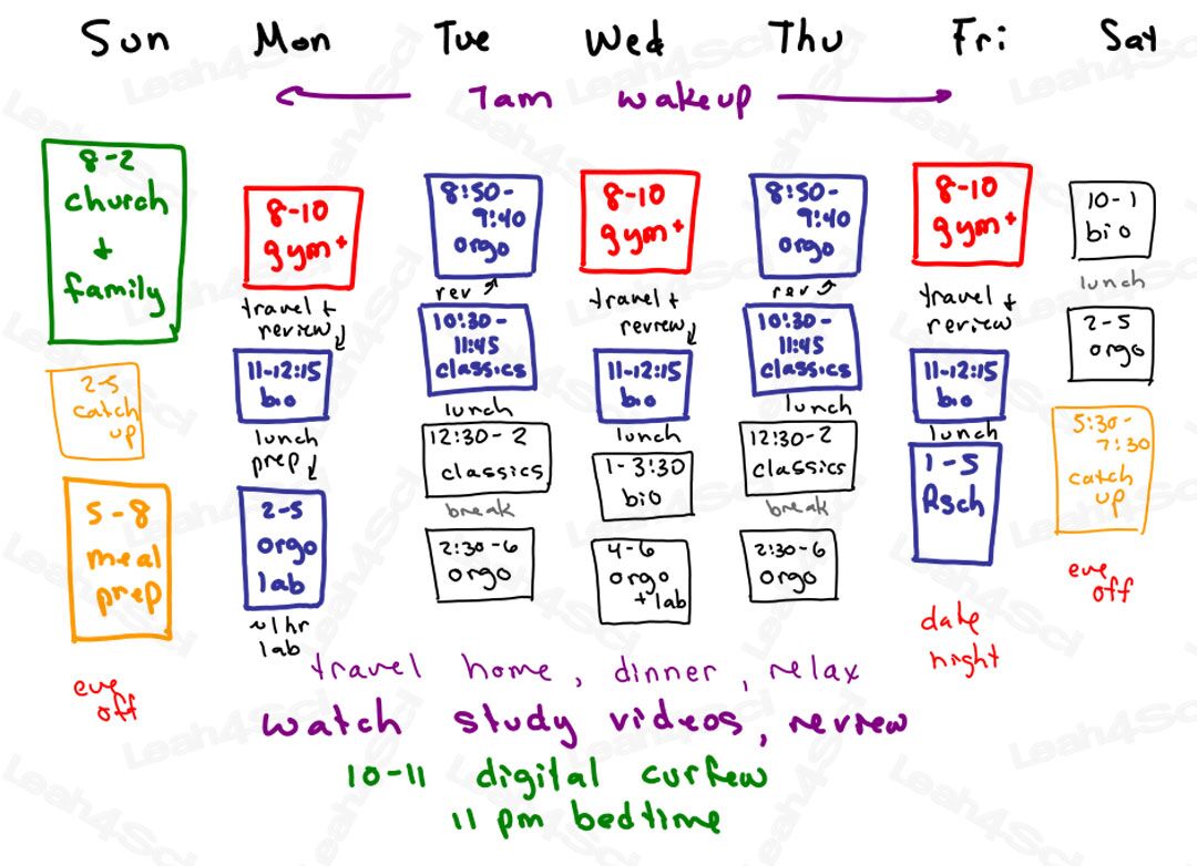 Organic Chemistry Study Schedule full time student premed by Leah4sci